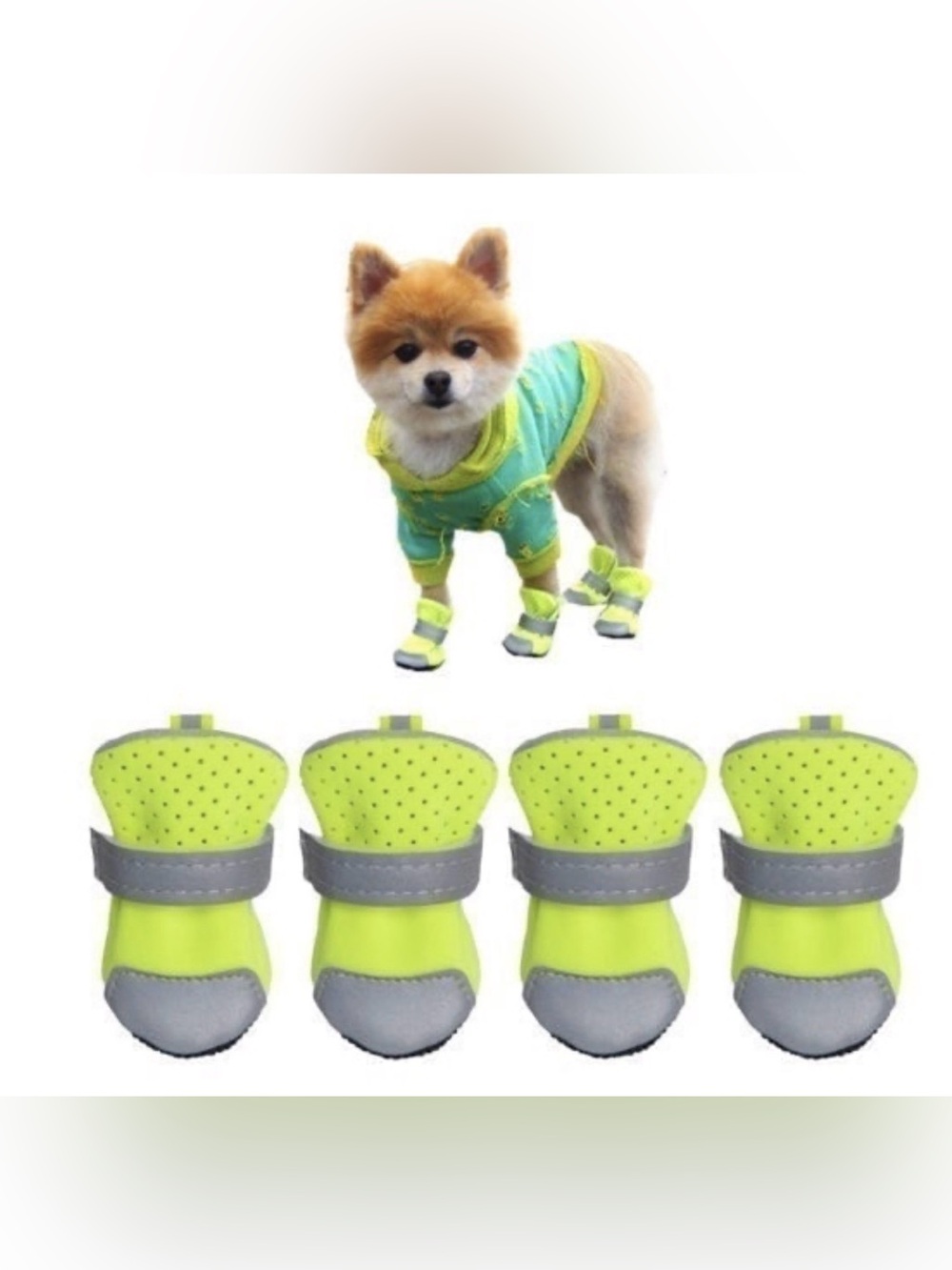 Dog Boots